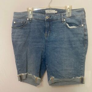 Denim Blue Jean Shorts